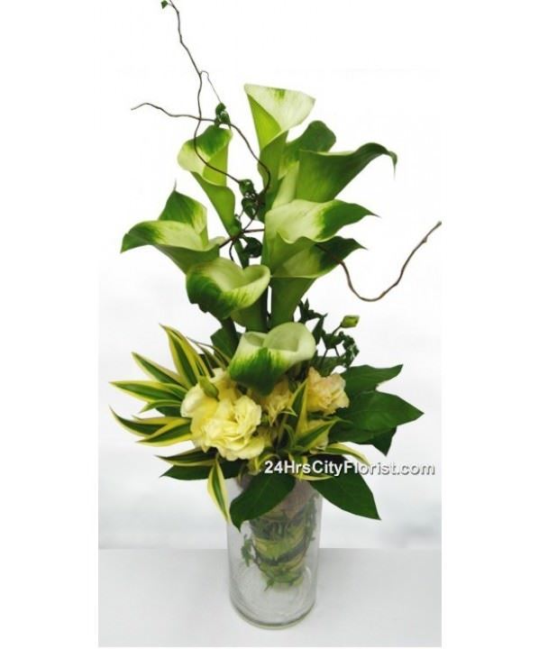 Calla Lily..