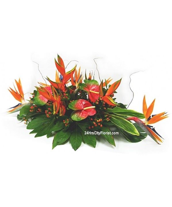 bird of paradise table flower