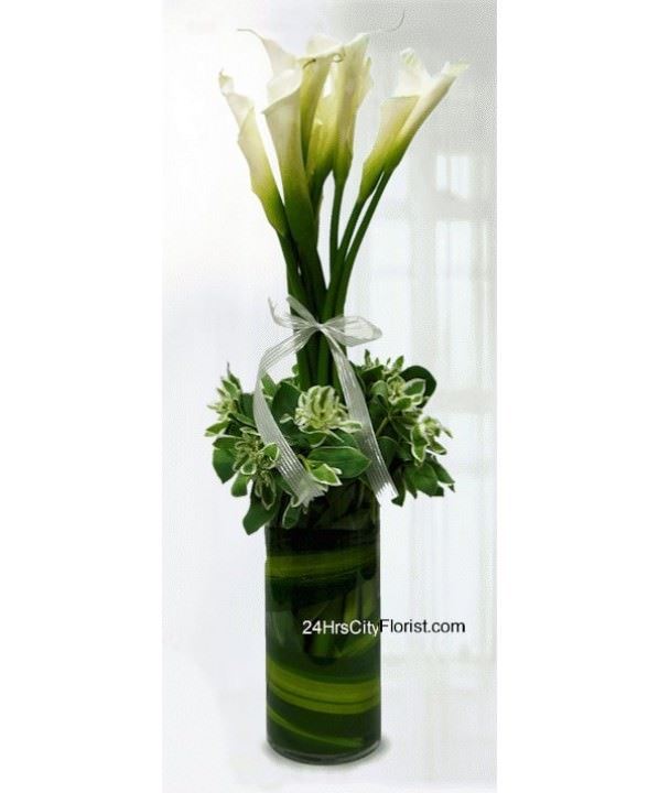 Cylindrical Calla..