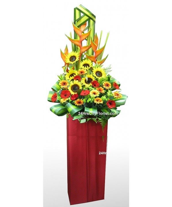 official opening flower