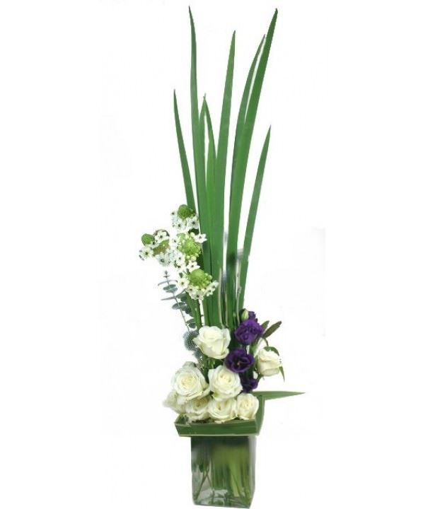 Refreshing Elegance